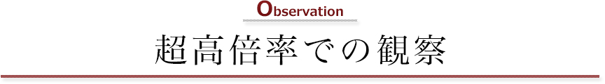 Observation 超高倍率での観察