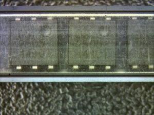 LEDリング照明を使ったマイクロスコープ