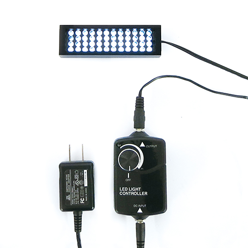 LED-BL