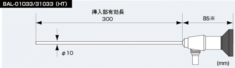 bal-31033ht