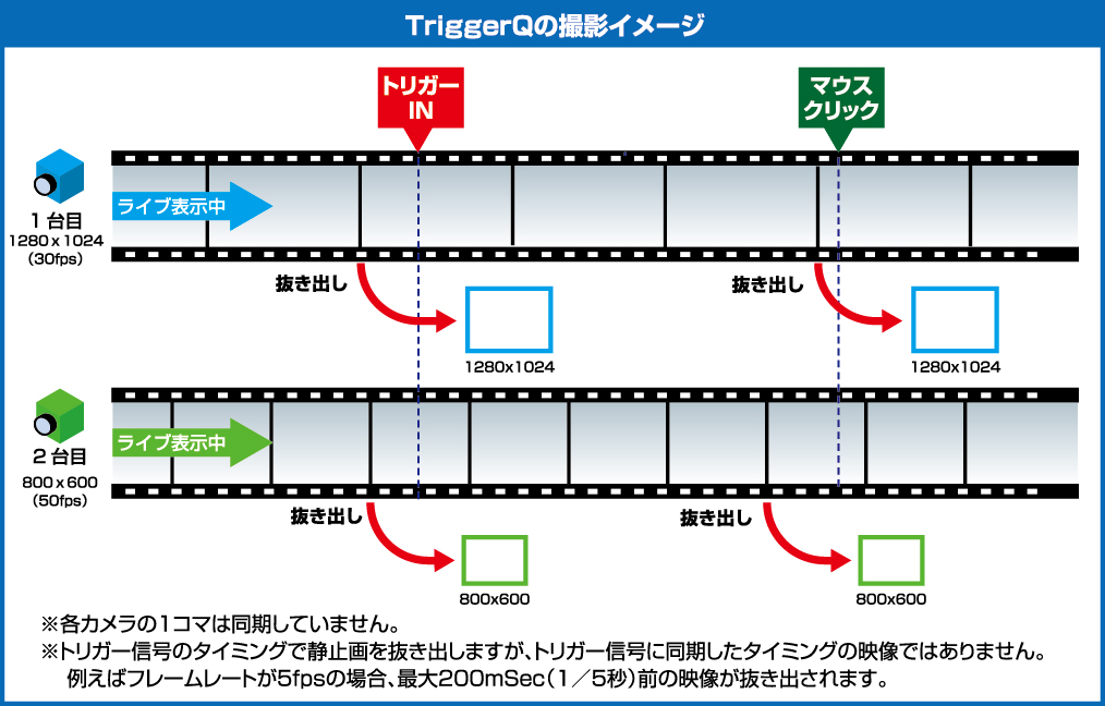 shintriggerq_system
