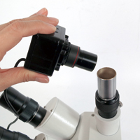 Video Camera for Stereo Microscope