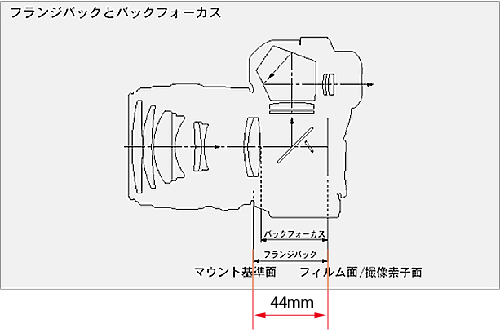 EOSのフランジバック