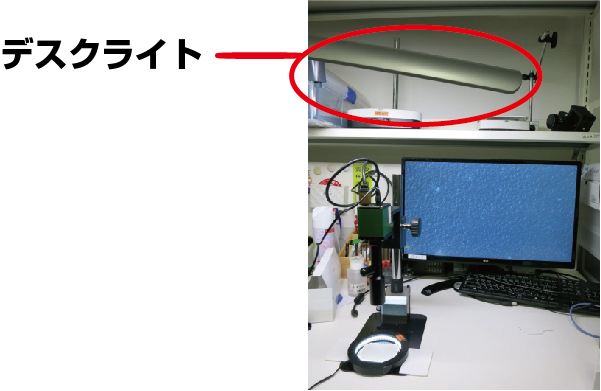 暗視野観察での注意