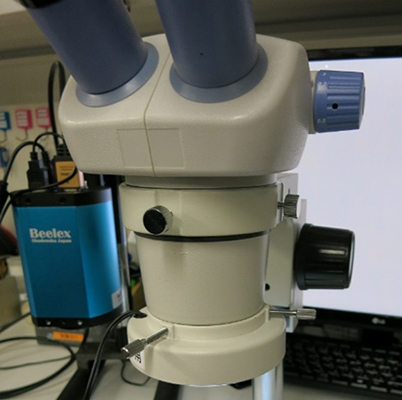 実体顕微鏡　NSZ405は0.5倍の補助レンズを装着