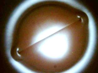 narrow-entrance-cylinder_07