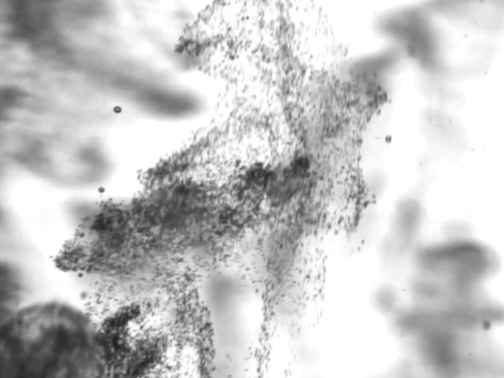 ファインバブル撮影_比較1