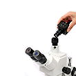Camera / Accessories For Stereo Microscope