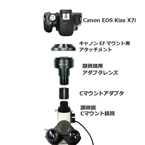 顕微鏡用デジタル一眼レフカメラセット（Canon EOS Kiss X10） | 株式