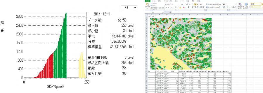 粒子計測・統計値算出