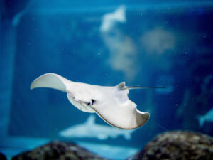 水族館